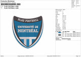 Flag Football Embroidery File 6 sizes